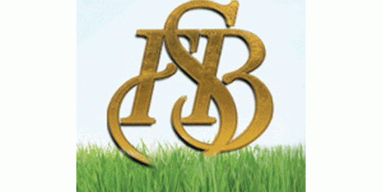 FSB-Gold Logo In Grass-LOGO