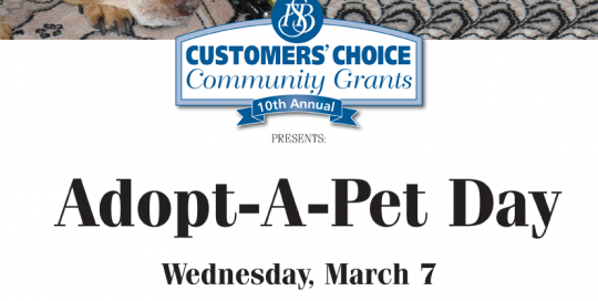 FSB-Poster-CCCG_Adopt-A-Pet