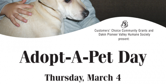 FSB-Poster_Adopt-A-Pet-2010