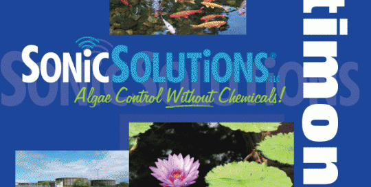 SonicSolutions-Brochure-6 Page Testimonials